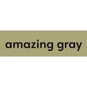 amazing gray Foundation Logo amazing gray Foundation Logo