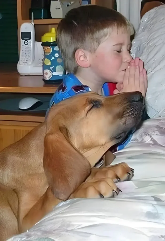 Child Praying with their dog