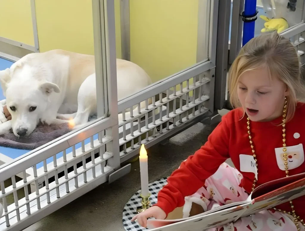 Girl reads under candlelight for readingtotherescue
